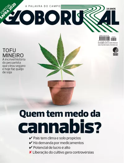 Notícias de Hoje sobre Cannabis Medicinal