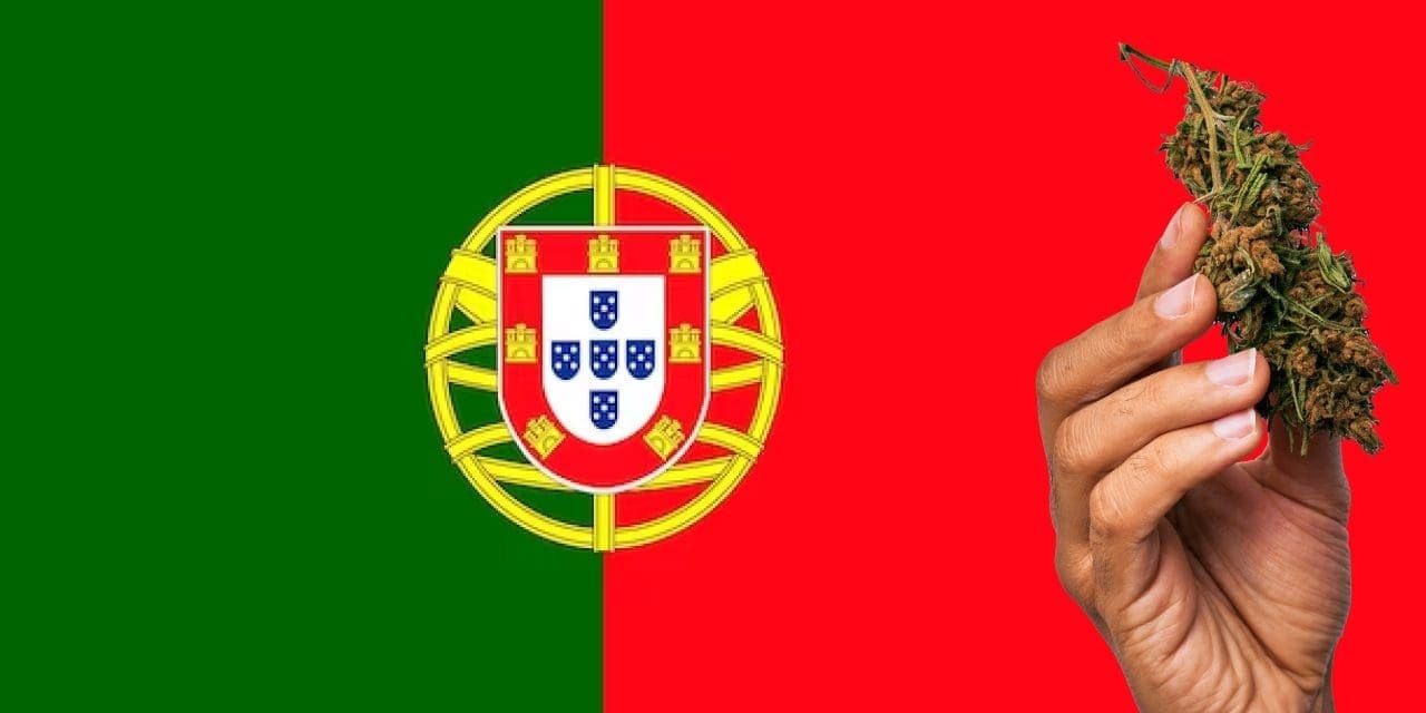 Hemp Vegan Portugal