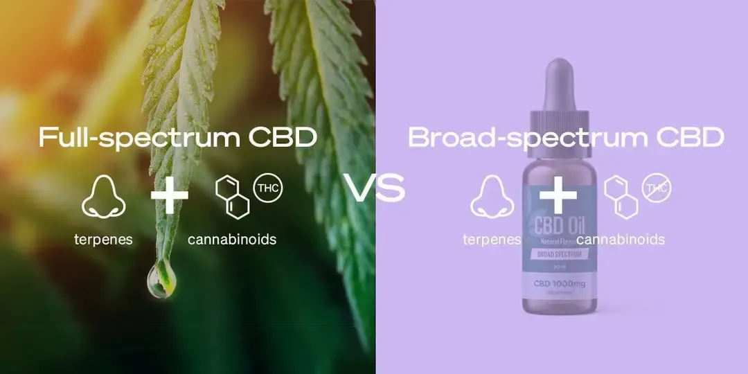 Qual a diferença entre Full Spectrum, Broad Spectrum e CBD Isolado