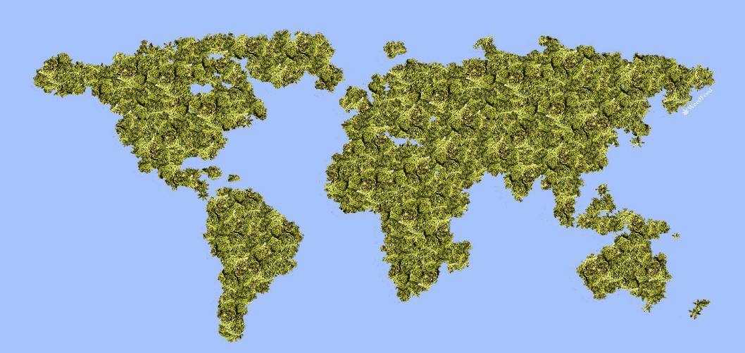 Vai viajar? Saiba como está a legalização da maconha ao redor do mundo