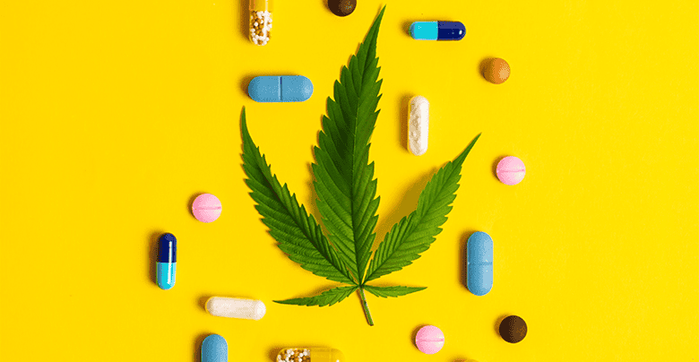 A importância de diferenciar Indústria Canabica de Farmacêutica