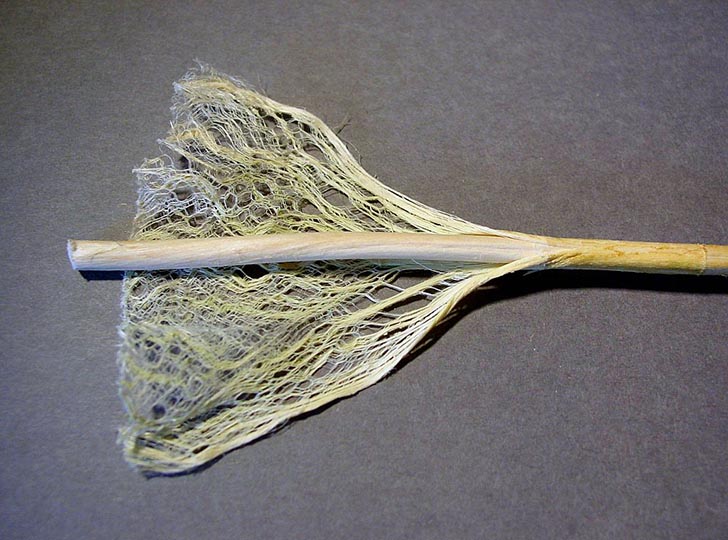 Hemp Supercapacitor is as Good as Graphene at a Fraction of the Cost